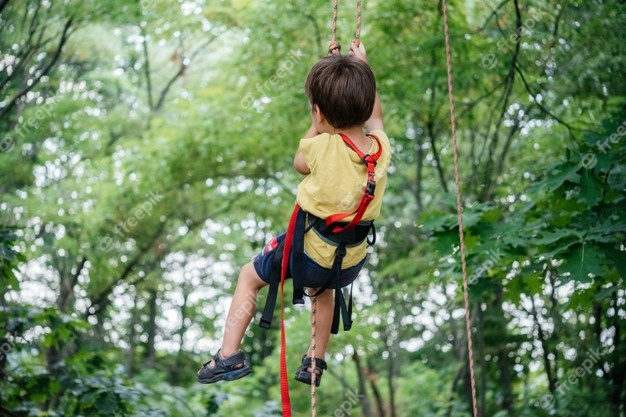 little-boy-climbing-saddle-climbing-rope-into-canopy-tree-with-alpine-equipment-climbing-gear-summer-outdor-activities-children_294132-1047